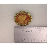 Vintage Cameo Brooch Pin With Ornate Gold Tone Frame Oval Lady Design Elegant