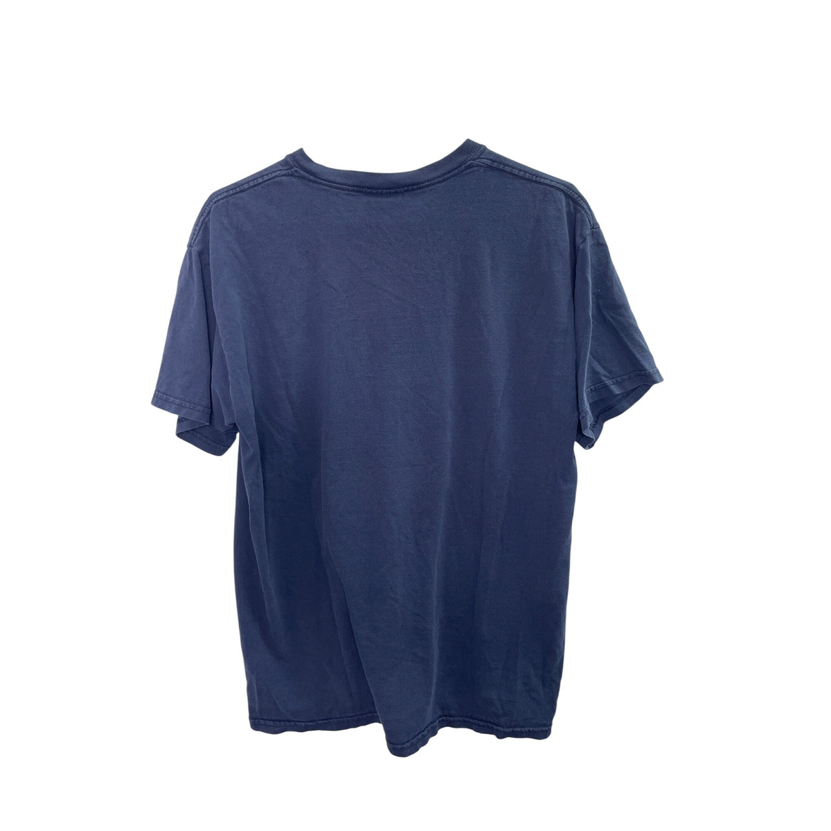 Steve & Barrys Mens Blue Cotton Frosted Flakes Graphic T-Shirt Medium