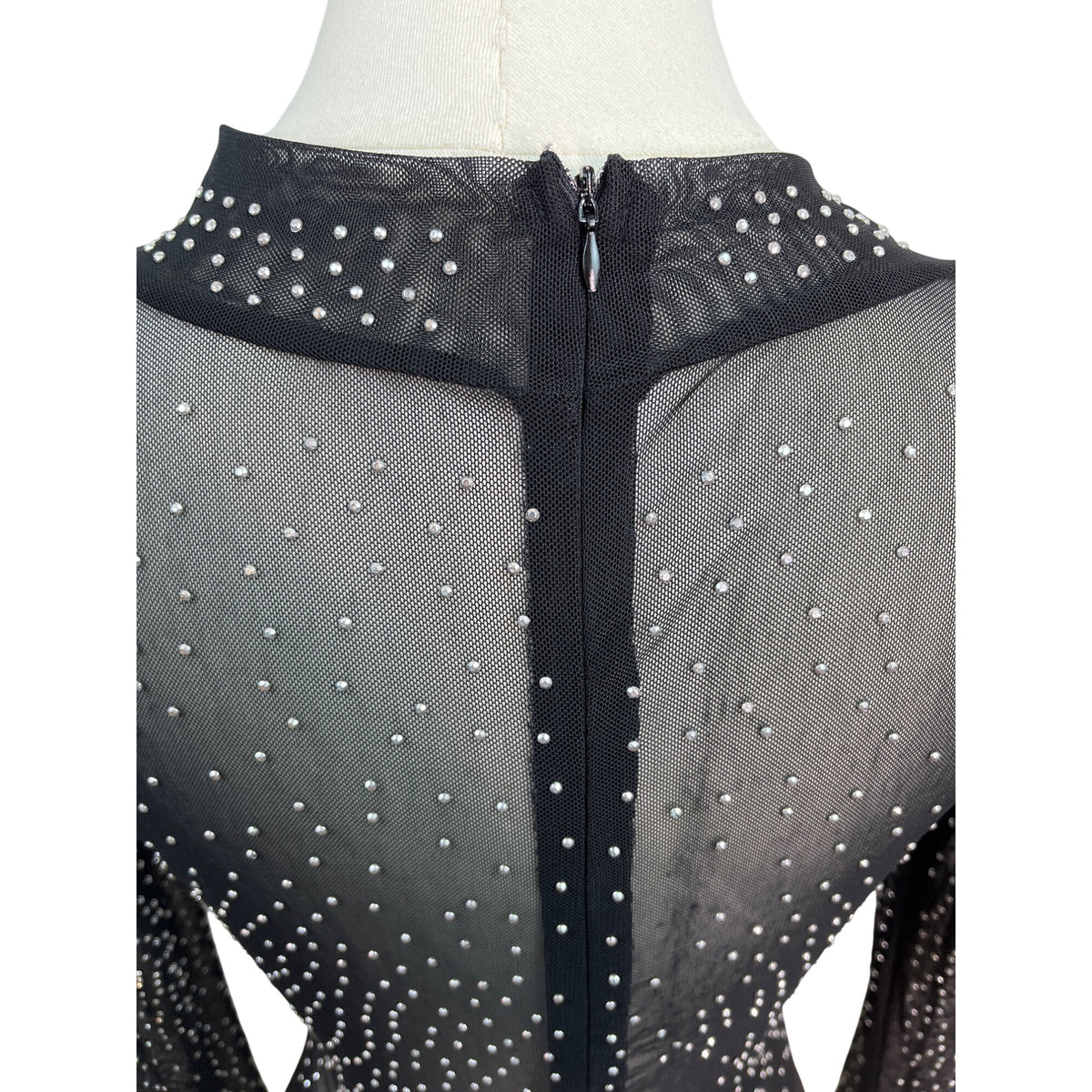 Sheer Black Long Sleeve Bodysuit With High Neck & Back Zipper Closure Size S