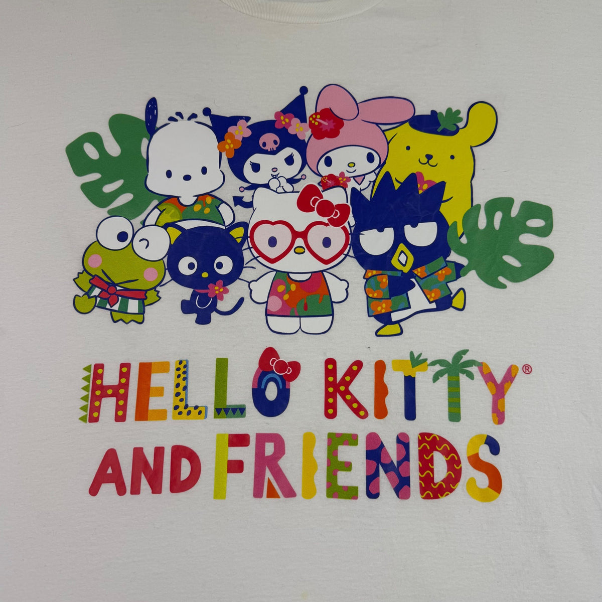 Sanrio Unisex White Cotton/Polyester Hello Kitty & Friends Graphic T-Shirt