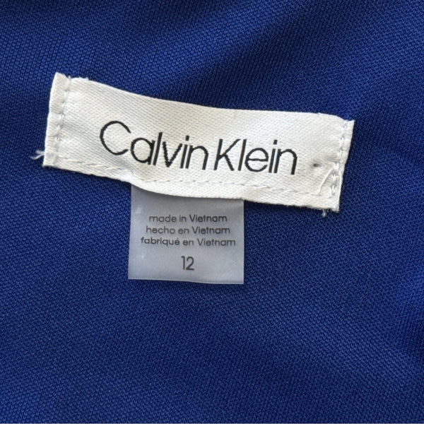 Calvin Klein Women’s Blue Velvet Long Sleeve Ruched Mini Dress Sz 12