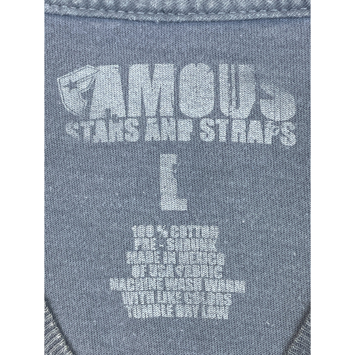 Famous Stars And Straps Mens Gray Graphic Print T-Shirt Large 100% Cotton Casual Crewneck